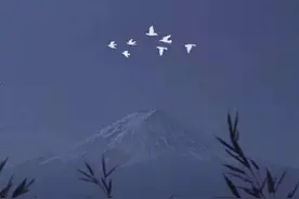 背景丨 ins风朋友圈背景图-Blue （二）图片