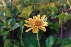 请远离垃圾朋友图片