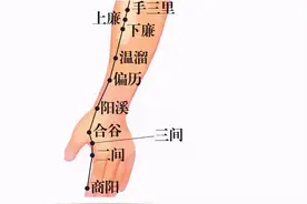 远离肾虚 只需长按这5大穴位图片