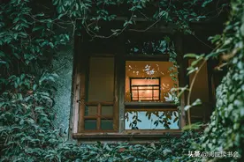 《论语》解读：民可使由之，不可使知之图片