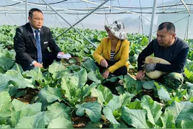 微山农商银行助力农户“圆梦”金融“活水”浇灌致富农田图片