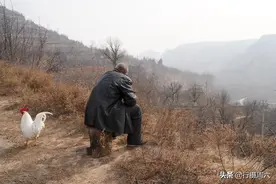 7旬农民大叔“占山为王”，一人吃饱全家不饿，看活成啥样图片