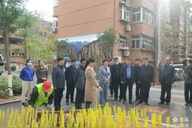 邯郸市副市长王彦清到邯郸市复兴区督导检查“四改两清一通”和公有泊位免费停车工作图片