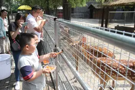 洛阳王城公园增设三处动物互动体验点，增强游客互动体验图片