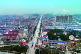 岳阳县新墙镇：绘“三色”画卷 助乡村振兴图片