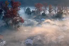 理想今年你几岁？我中了赵雷的“毒”图片