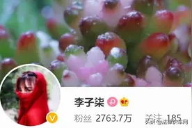 李子柒起诉微念，不合理的财富分配方式注定难走更远图片