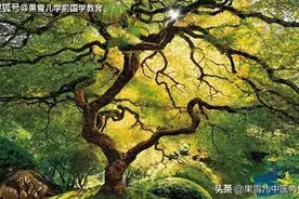 每个家庭都有着自己的家训家规，爱国应该是首当其中 家训故事图片