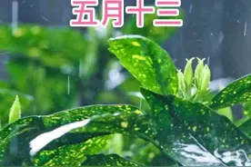 今天五月十三，俗语“大旱不过五月十三”啥意思？下雨准吗？图片