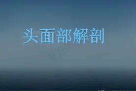 头面部（肌肉）解剖图图片
