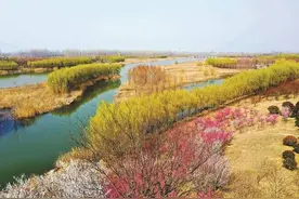徐州名字很难读对的县，常住人口约109万，交通便利有机场有高铁图片
