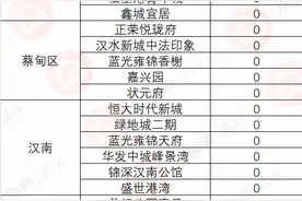 卖不动！武汉多个新盘0成交，直降88万也无人问津图片
