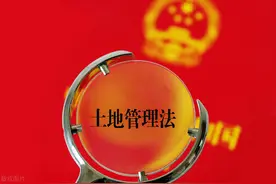 土地闲置满两年，政府强制无偿收回，肿么破？图片