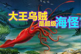 大王乌贼真的是体长30米的超级海怪？图片