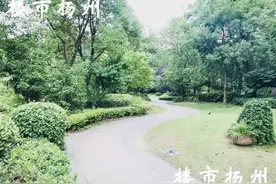 二手房价1.8万/㎡！扬州这家小区实景太惊艳图片