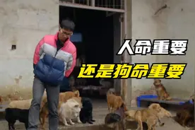 为了照顾流浪狗，连家都不顾了，人命重要还是狗命重要？纪录片图片