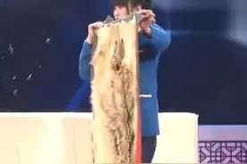 美女带祖传“狼皮”参加鉴宝，专家情绪失控，拒绝鉴定，拒绝估价图片