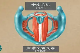 专业歌手也需知道的歌唱知识，先研究个一百遍，干货干货值得收藏图片