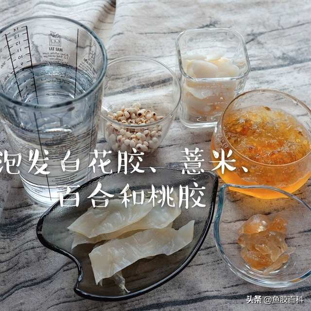 印尼白花胶是什么鱼的胶 2026年印尼白花胶图片