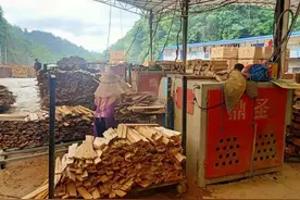 关于圆木锯操作视频图片