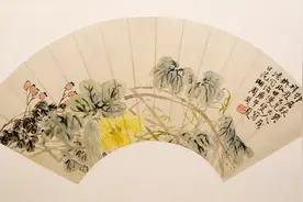 荒岛上捡到的乌龟壳，被朋友笑话，谁知竟然价值连城图片