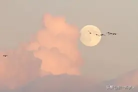 世界没有想象中的那么好图片