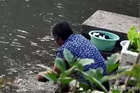 魂牵梦绕的无锡中山路图片