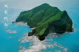 把2只蜜獾放在巴西蛇岛上，4000只黄矛头蝮蛇会成它的盘中餐吗？图片