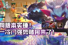 云顶之弈赌狗版本实锤！又一冷门强势赌狗来了图片