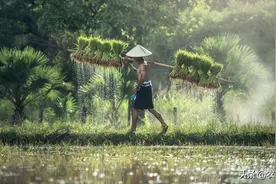 大规模的合村并居后，农民的生活和劳作上有什么差别？答案在这里图片