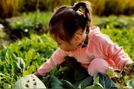 邻居天天让孩子来拔菜，还不拿走，让儿子回家一下解决问题图片