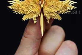 挑战每天折一个不同样式的千纸鹤，这位大神坚持了1000天图片