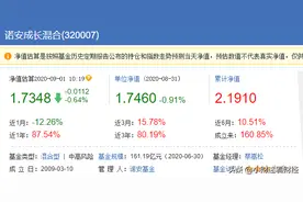 基金解读之诺安成长混合图片