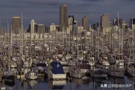 2020年新西兰奥克兰房价一平米多少钱？租金收益率怎么样？图片