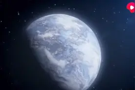 你的牙齿厉害吗？咬合力最强的生物是什么？西瓜视频带你揭秘图片