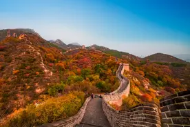宣讲家案例：整治形式主义官僚主义为何连续四年上春晚图片