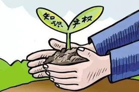 音乐作品侵权行为频发 知识产权保护任重道远图片