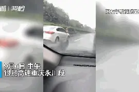 暴雨天轿车顶人在高速上飞驰，警方通报：由离婚纠纷引发图片