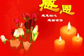 在我心中有一首歌图片