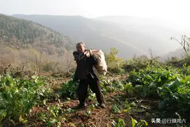 6旬农民痴迷周易八卦，独居山洞修炼养生30多年，看活成啥样图片