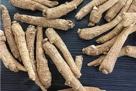 西洋参大补补出事！医生紧急提醒：这些心血管药不能与中药同服图片