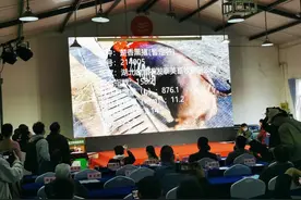 一头猪的创新发展之路 ▏2021湖北三农观察图片