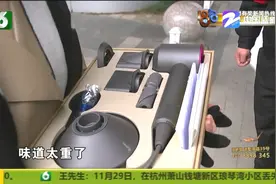 “戴森”吹出烧焦味，部分有部分没有？图片