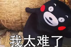 组员不给力，又怕分数上不去？我该怎么和导师有效“抱怨”？图片