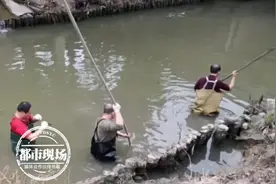佛山一河道中捞出保险箱，里面都是现金首饰、房产证！谁扔的？图片