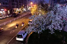 临汾这条街在夜色下就是这么美丽图片