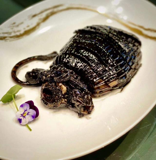 怎么蒸花胶红烧肉 2026年怎么蒸花胶红烧肉窍门