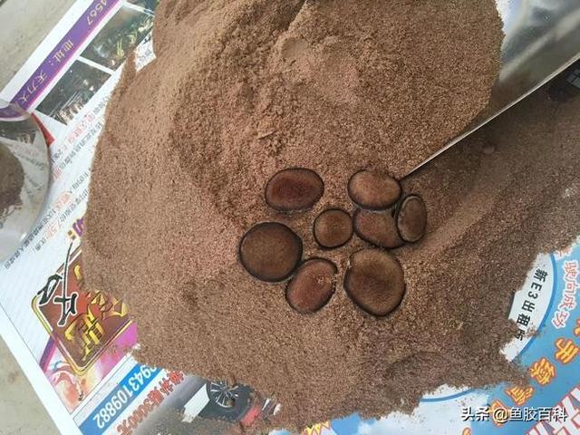 花胶可以炖鹿茸吗 2026年花胶可以炖鹿茸吗百度百科
