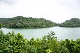 中山这一景点名字起得很随意，却是本地人最喜欢去的地方图片
