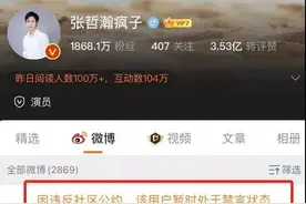 张哲瀚被禁言，中演协：从业抵制！爆红不足6个月，坍塌只需4小时！影视行业将迎大洗牌？图片